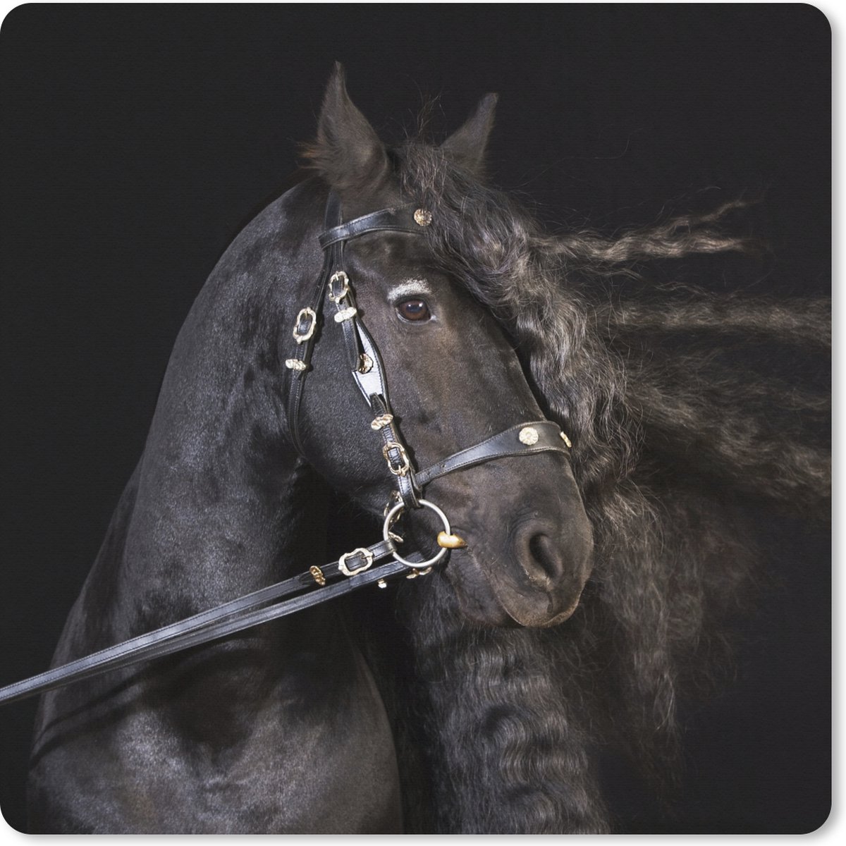 Muismat XXL 50x50 cm - Bureau onderlegger - Bureau mat Paard - Halster - Manen - Bureaumat - Gaming mousepad xl - Bureaulegger groot - Computer deskmat