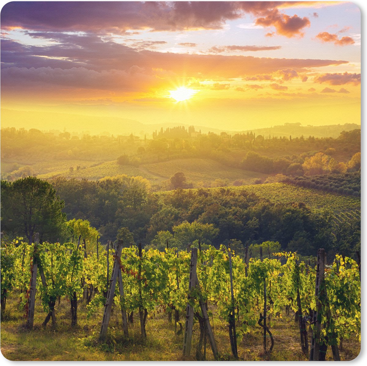 Muismat XXL 50x50 cm - Bureau onderlegger - Bureau mat Toscane - Italië - Druivenbomen - Bureaumat - Gaming mousepad xl - Bureaulegger groot - Computer deskmat