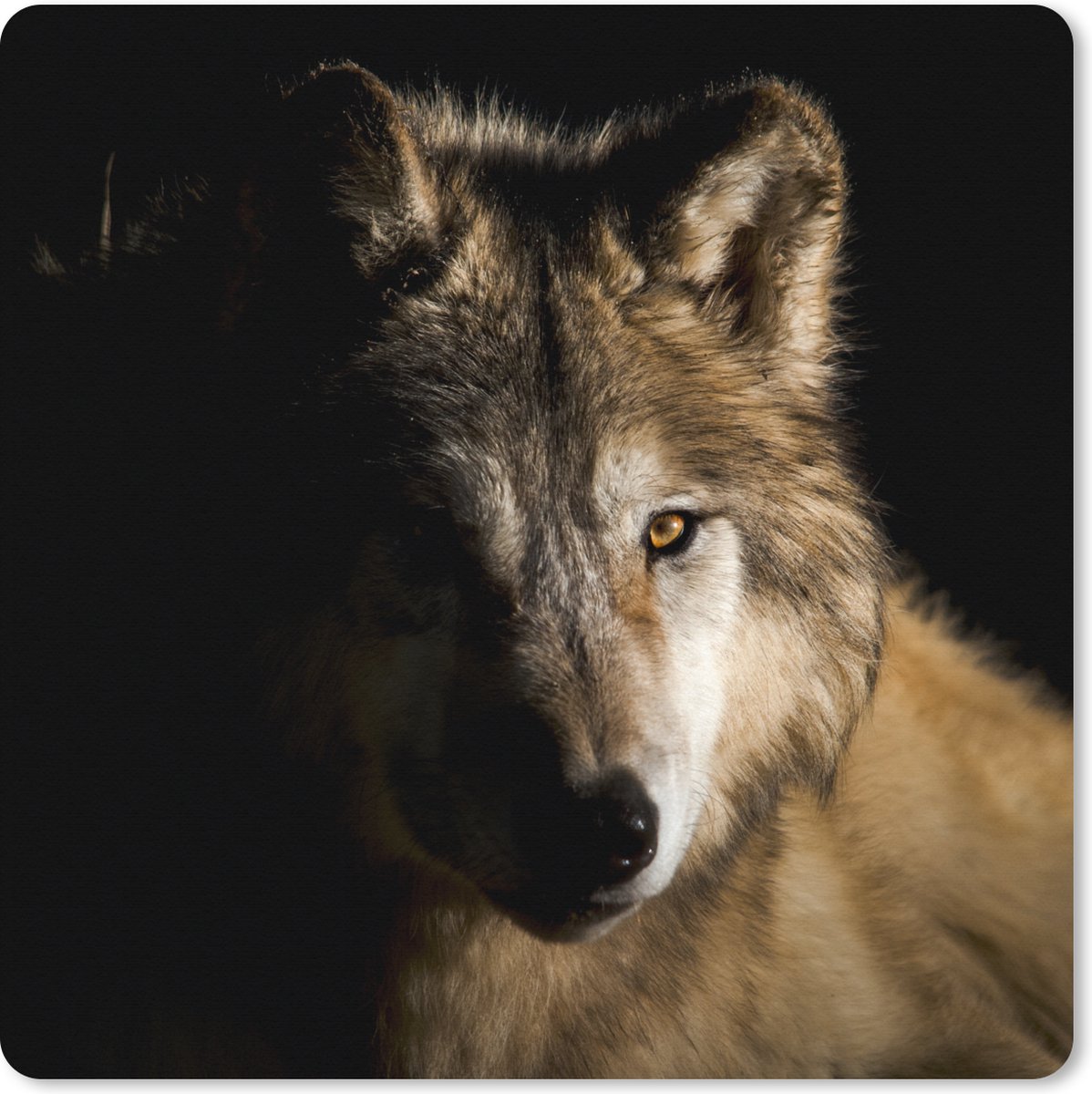 Muismat XXL 60x60 cm - Bureau onderlegger - Bureau mat Arctische wolf - Bureaumat - Gaming mousepad xl - Bureaulegger groot - Computer deskmat