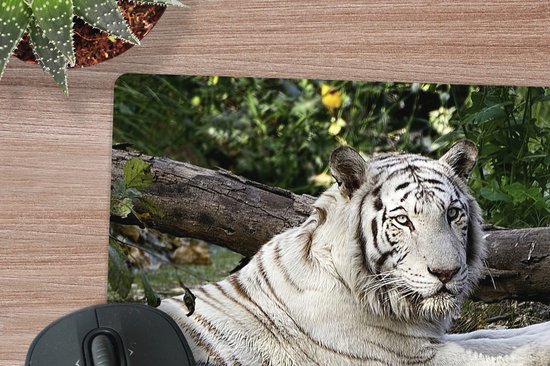 Muismat XXL 50x50 cm - Bureau onderlegger - Bureau mat Witte tijger in het water - Bureaumat - Gaming mousepad xl - Bureaulegger groot - Computer deskmat