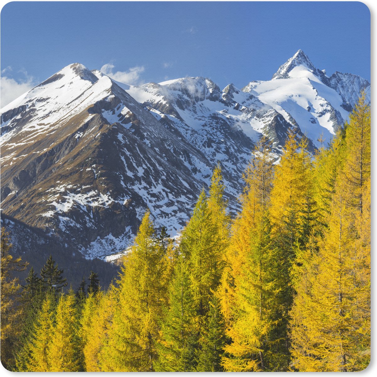 Muismat XXL 80x80 cm - Bureau onderlegger - Bureau mat Bomen voor de Großglockner berg in Oostenrijk - Bureaumat - Gaming mousepad xl - Bureaulegger groot - Computer deskmat