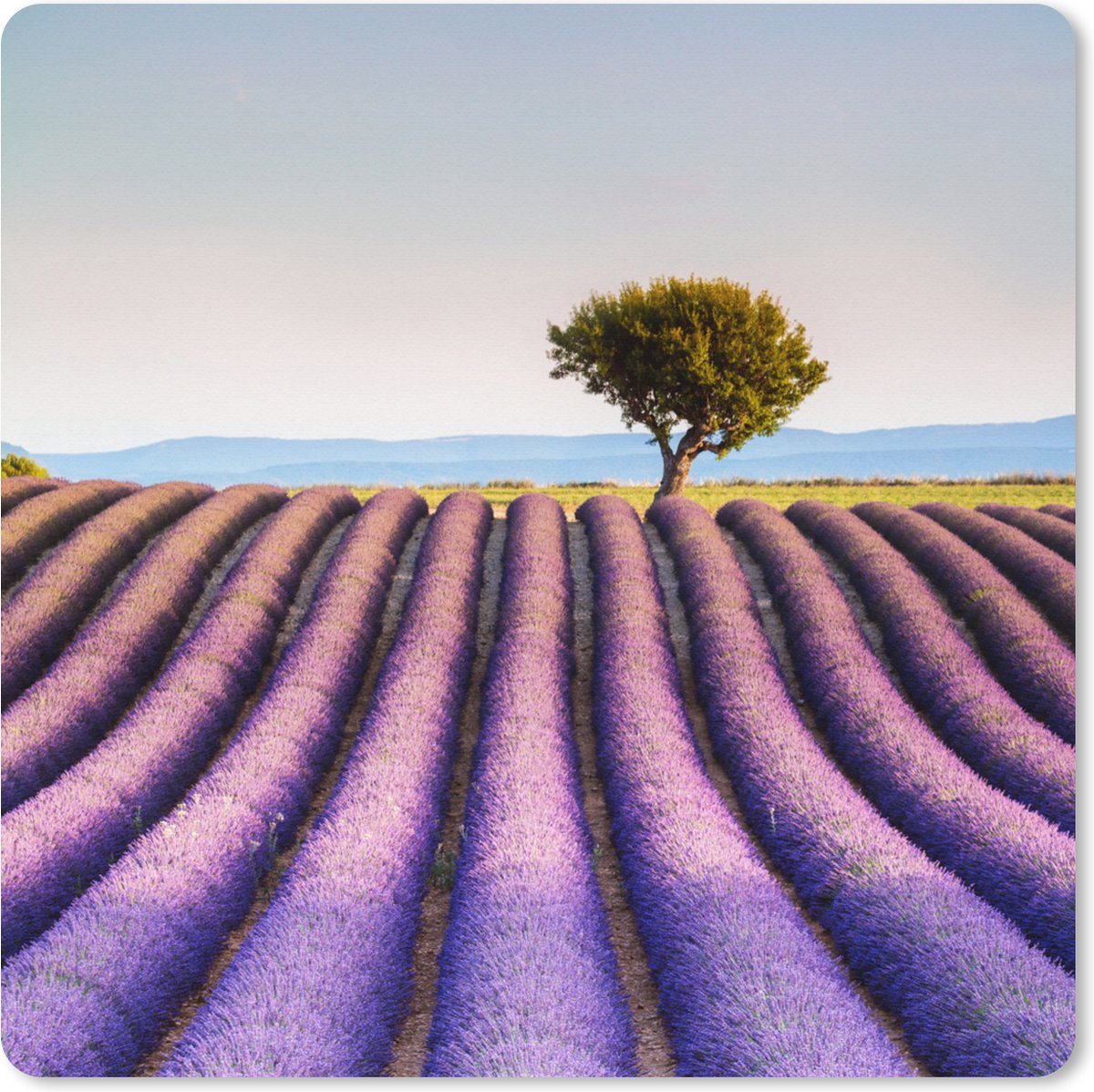 Muismat XXL 60x60 cm - Bureau onderlegger - Bureau mat Frankrijk - Lavendel - Boom - Bureaumat - Gaming mousepad xl - Bureaulegger groot - Computer deskmat