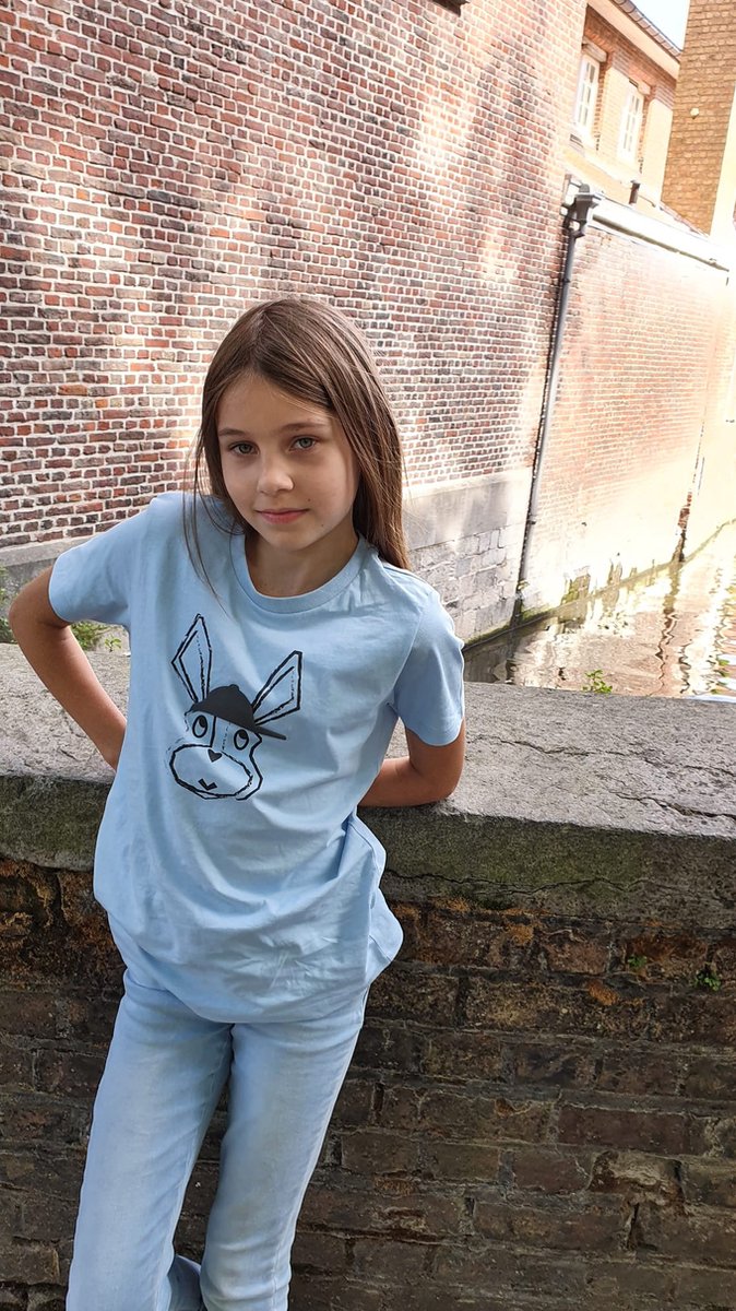 The Cool Rabbit Little Falcon t-shirt Lichtblauw 9j-11j