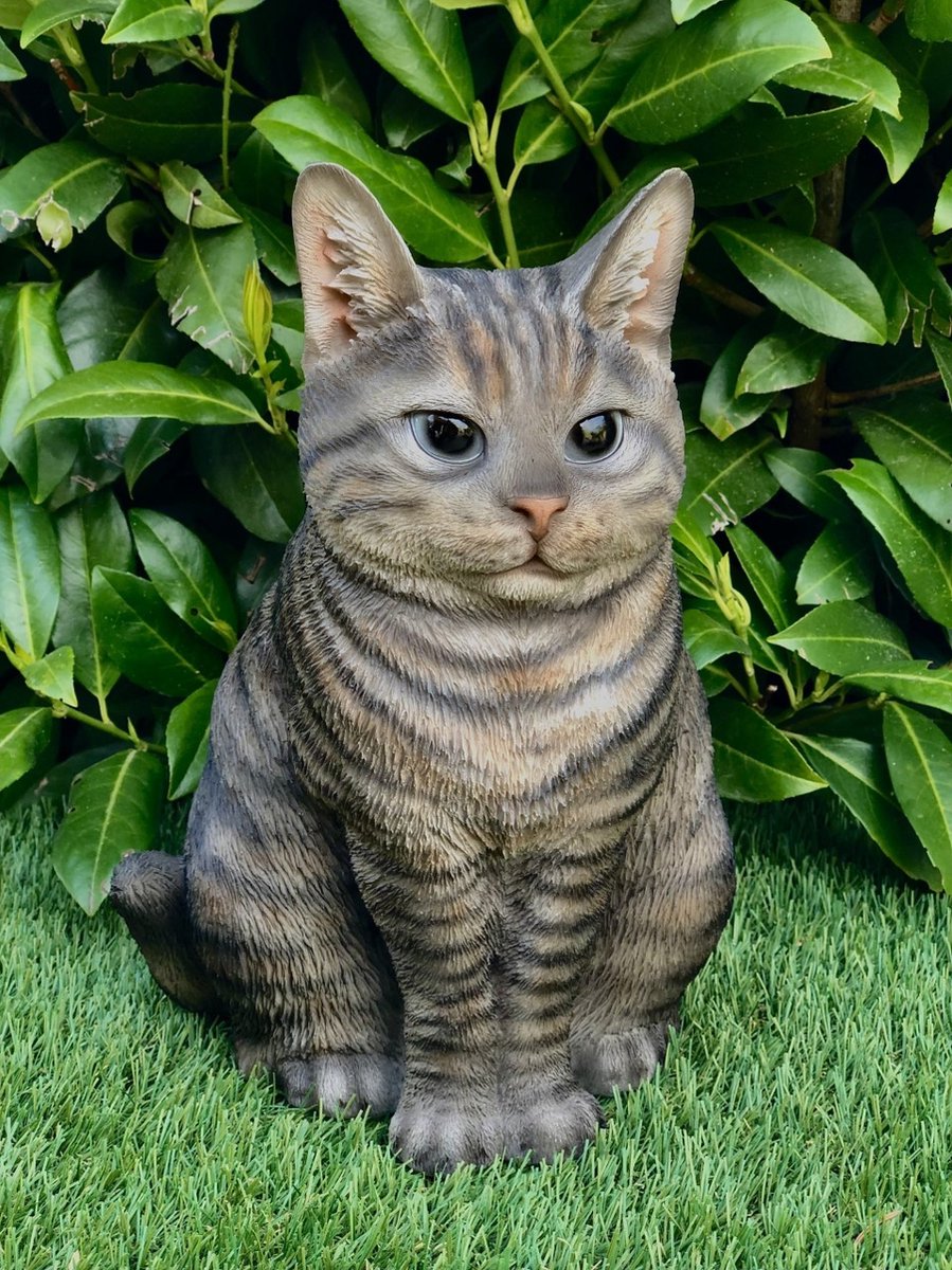 Britse Korthaar 30 cm - Kat zittend groot grijs bruin gestreept – kitten - poes - polyester - polystone - beeld - tuinbeeld - hoogkwalitatieve kunststof - decoratiefiguur - interieur - accessoire - voor binnen - voor buiten - cadeau - geschenk