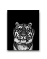 Schilderij  Safari tijger hoofd - Zwart / Wit / Zwart / Wit / 50x40cm