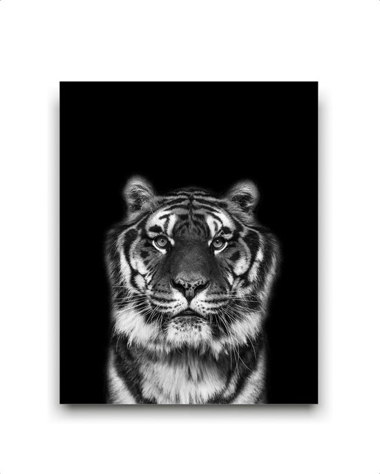 Schilderij  Safari tijger hoofd - Zwart / Wit / Zwart / Wit / 50x40cm