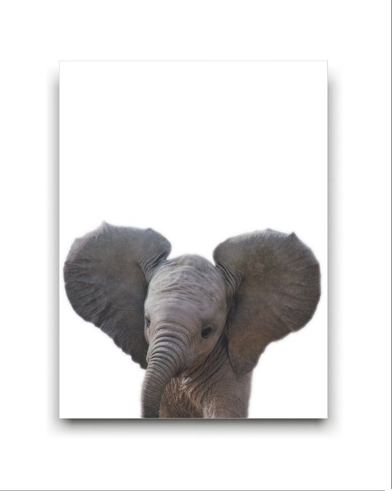 Schilderij Canvas Jungle Baby Olifant - Kinderkamer - Dieren Doek - Babykamer / Kinder Doek - Babyshower Cadeau - Muurdecoratie - 50x40cm - FramedCity