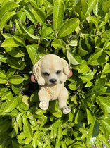 Polyresin hangend (tuin) dier "hond" - beige - hoogte 15x10x8 cm - ophangtouw - Voor binnen of buiten - Tuinaccessoires - Woonaccessoires