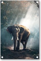 Éléphant | Affiche de jardin 60x90 | Décoration de jardin | Posters de jardin à l' extérieur | Peinture de jardin | Besteposter | Animaux