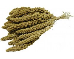 Trosgierst Chinees - 500 gram