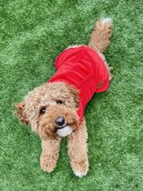 Honden Badjas Rood Maat L incl. waszakje - Hondenbadjas - Ruglengte 50cm / tm18kg - Super absorberende badjas voor honden