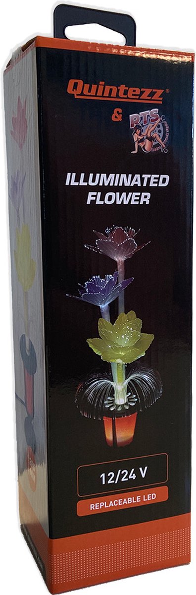 Quintezz - Fleur lumineuse - 12/24V