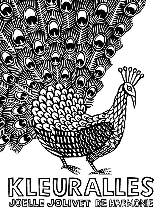 Cover van het boek 'Kleur alles'