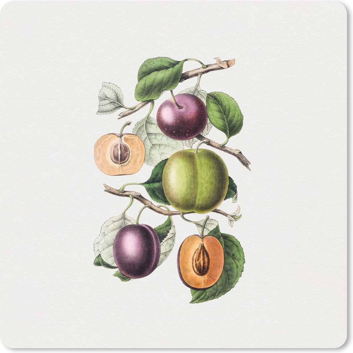 Muismat 20x20 cm - Mousepad Perzik - Fruit - Vintage - Muismatten