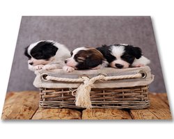 Papillon Wasmachine Beschermer - Antislip mat - 60x60 cm – Puppies
