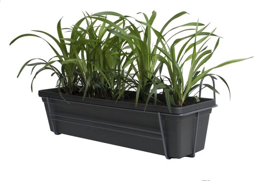 Mama's Plantes - Lily Grass In ELHO ® Green Basics Jardinière de balcon  (Living Black)... | bol.com