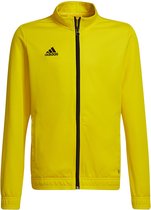 adidas - Entrada 22 Track jacket Youth - Gele Track Jacket -152