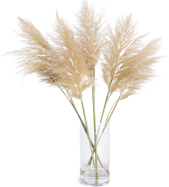 Een glazen vaas met 5 stuks pampas pluimen van 90cm.