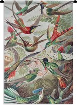 Wandkleed - Wanddoek - Kolibrie - Vintage - Ernst Haeckel - Vogel - Kunst - Natuur - 60x90 cm - Wandtapijt