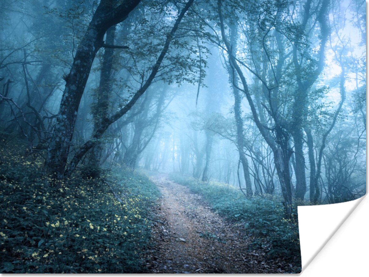 Poster Bomen - Natuur - Mist - 120x90 cm