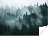 Affiche Brouillard - Arbres - Forêt - 40x30 cm