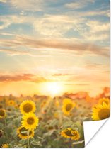 Affiche Tournesol - Soleil - Fleurs - 30x40 cm