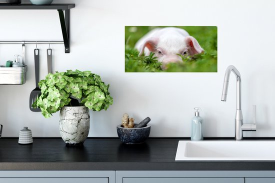 Affiche Cochon - Animaux - Porcelet - 40x20 cm