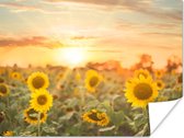 Affiche Tournesol - Soleil - Fleurs - 40x30 cm