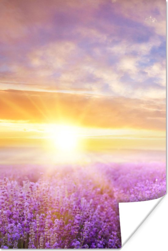 Poster Lavendel - Zon - Lucht - Natuur - 20x30 cm