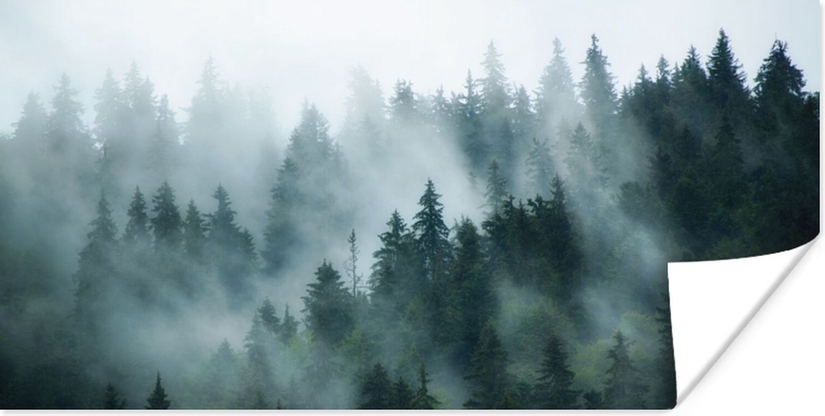 Poster Mist - Bomen - Bos - 80x40 cm
