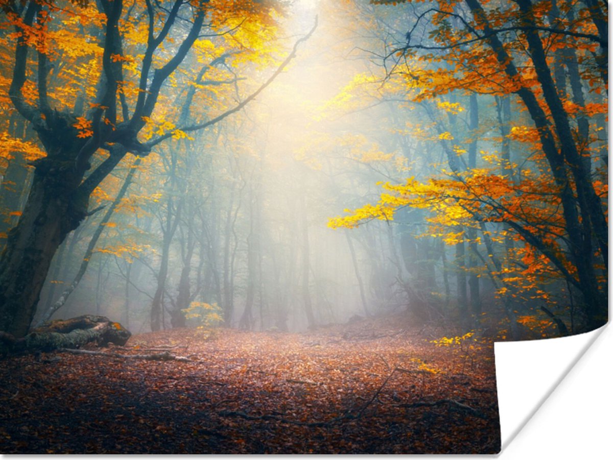 Poster Bos - Mist - Herfst - 40x30 cm