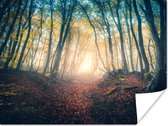 Poster Forêt - Brouillard - Soleil - Automne - 80x60 cm
