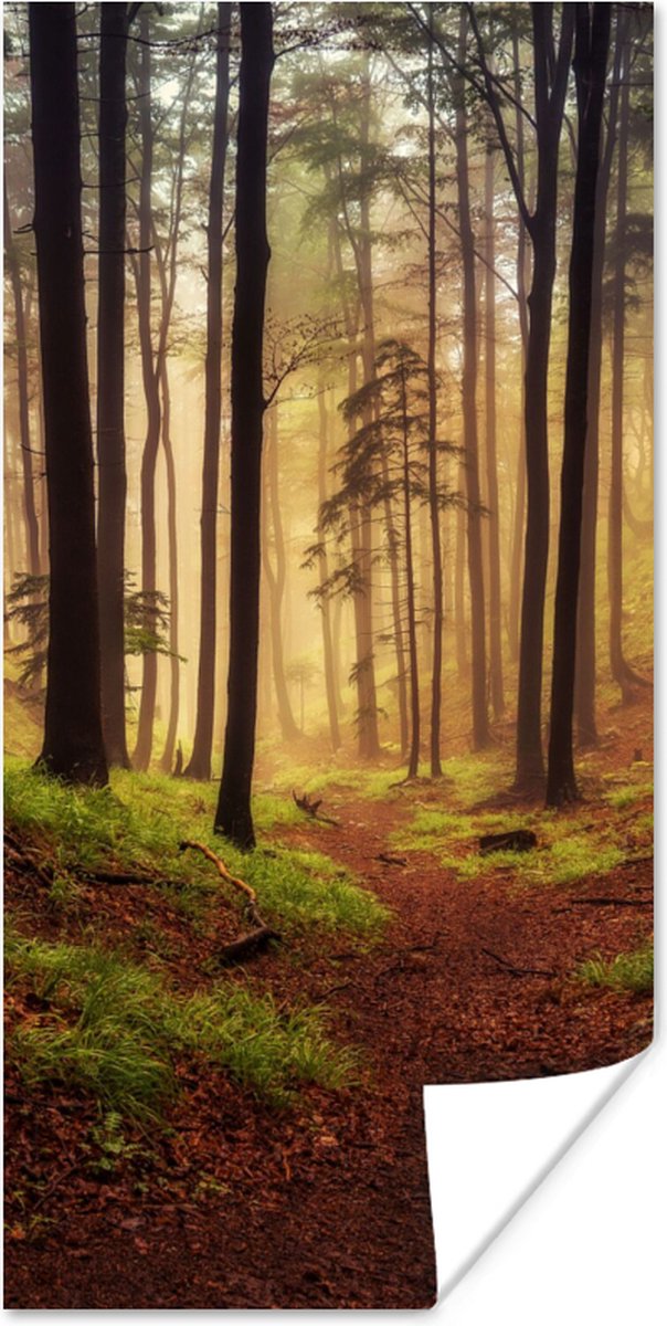 Poster Bomen - Natuur - Bos - 80x160 cm