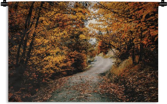 Tapisserie - Tapisserie - Forêt d'automne - Chemin - Feuilles - Rural - 150x100 cm - Tapisserie