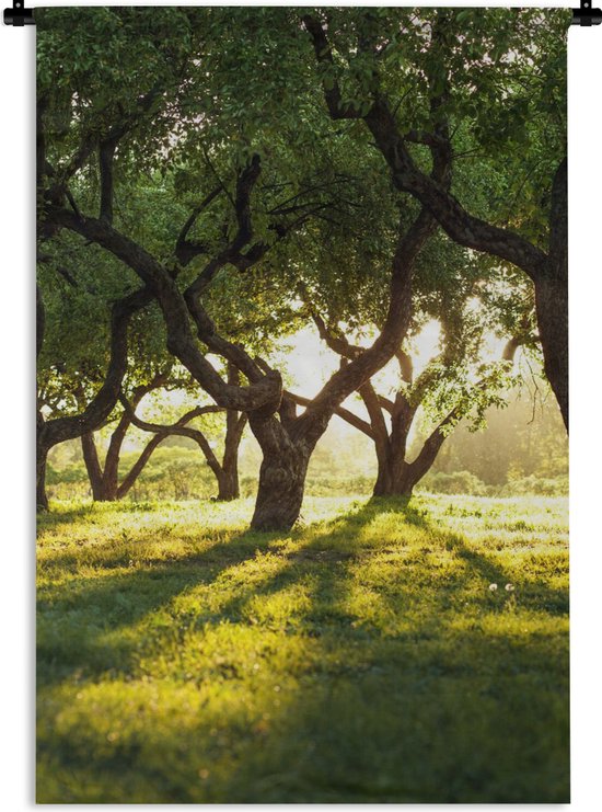 Tapisserie - Tapisserie - Arbres - Nature - Soleil - 90x135 cm - Tapisserie