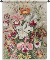 Wandkleed - Wanddoek - Bloemen - Ernst Haeckel - Vintage - Orchidee - 150x200 cm - Wandtapijt