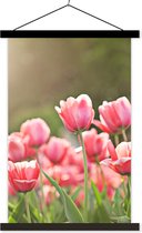Porte-affiche avec affiche - Affiche scolaire - Tulipes - Soleil - Printemps - 40x60 cm - Lattes noires
