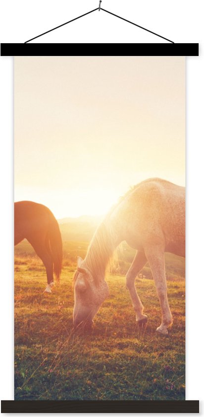 Porte-affiche avec affiche - Affiche scolaire - Paarden - Soleil - Animaux - 40x80 cm - Lattes noires
