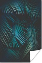 Poster Palm - Palmboom - Tropisch - 40x60 cm