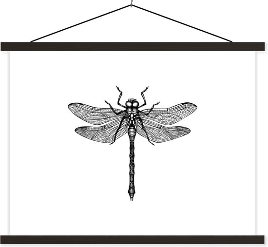 Posterhanger incl. Poster – Schoolplaat – Libelle – Insecten – Retro – Zwart wit – 40×30 cm – Zwarte latten