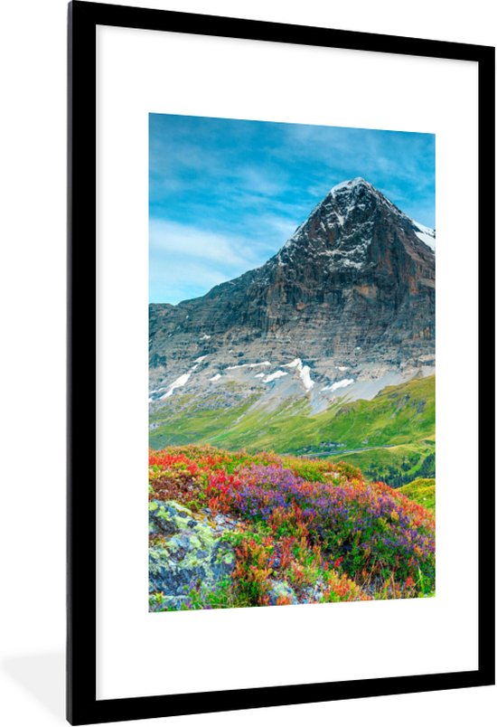 Fotolijst incl. Poster - Bloemen - Berg - Sneeuw - Landschap - 60x90 cm - Posterlijst