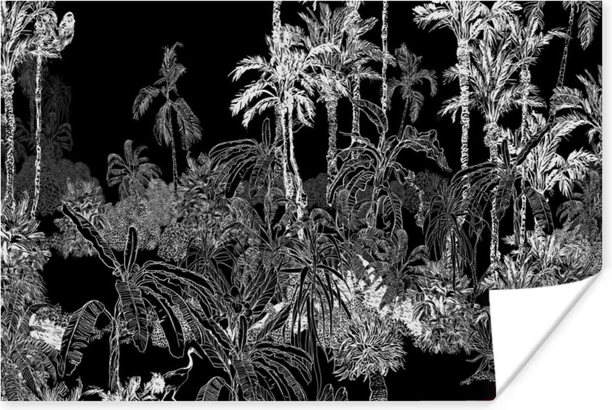 Poster Palm - Jungle - Tropical - 60x40 cm