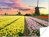 Poster Tulpen - Windmolen - Natuur - 80x60 cm