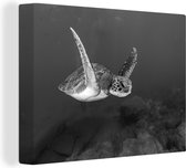 Canvas Schilderij Een schildpad zwemt in het water - zwart wit - 120x90 cm - Wanddecoratie