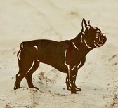Franse Bulldog - Tuinbeeld - dierenbeeld - Cortenstaal - 42 x 54 -NL fabrikaat