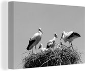 Canvas Schilderij Nest vol met ooievaars - zwart wit - 30x20 cm - Wanddecoratie