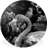 WallCircle - Wandcirkel ⌀ 90 - Flamingo - Jungle - Papegaai - Zwart - Wit - Ronde schilderijen woonkamer - Wandbord rond - Muurdecoratie cirkel - Kamer decoratie binnen - Wanddecoratie muurcirkel - Woonaccessoires