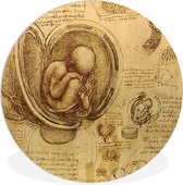 WallCircle - Wandcirkel ⌀ 30 - Leonardo da Vinci - Ronde schilderijen woonkamer - Wandbord rond - Muurdecoratie cirkel - Kamer decoratie binnen - Wanddecoratie muurcirkel - Woonaccessoires