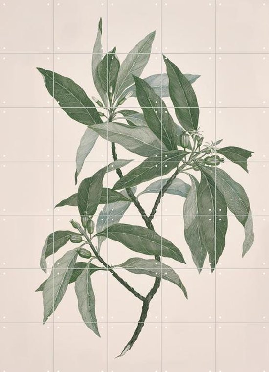 IXXI Timonius Timon - Wanddecoratie - Bloemen en Planten - 100 x 140 cm