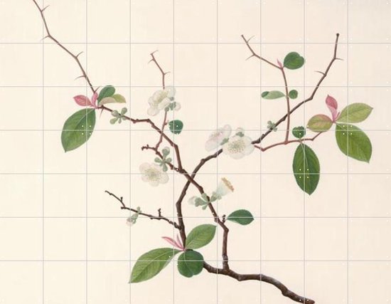 IXXI Blossom - Wanddecoratie - Bloemen en Planten - 180 x 140 cm